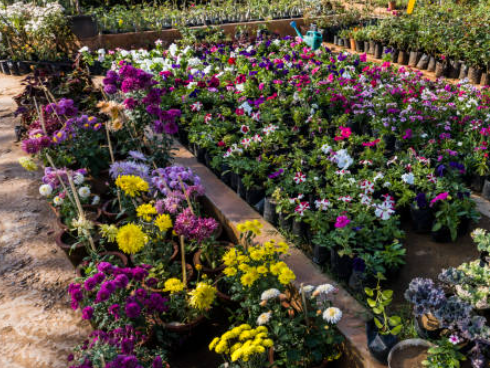 Beautiful Garden